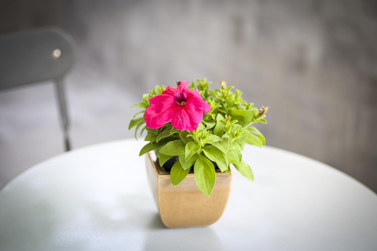 B&B Solarium Lido di Noto エクステリア 写真